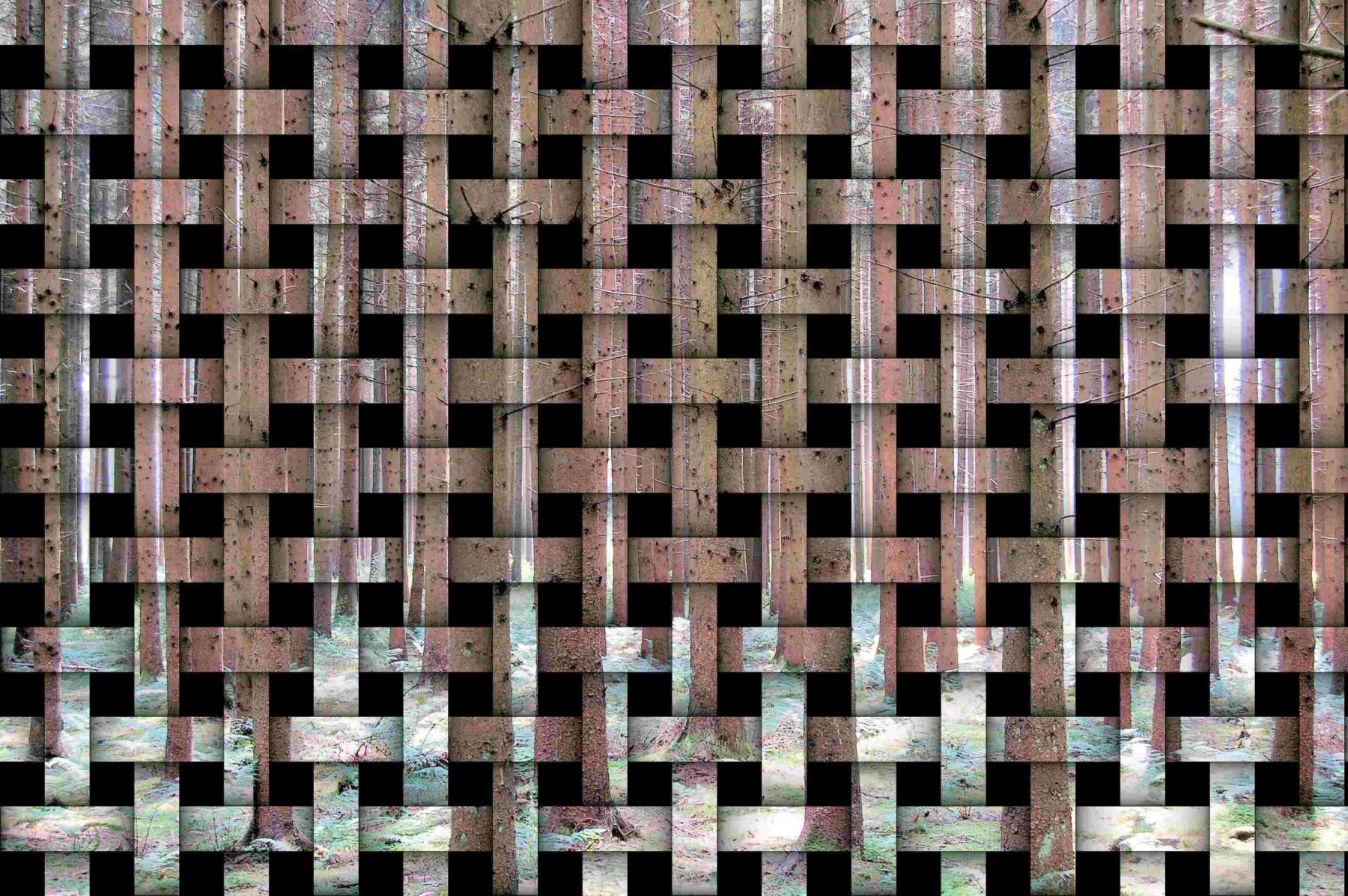 imageDSC_4109-b1-scaled
