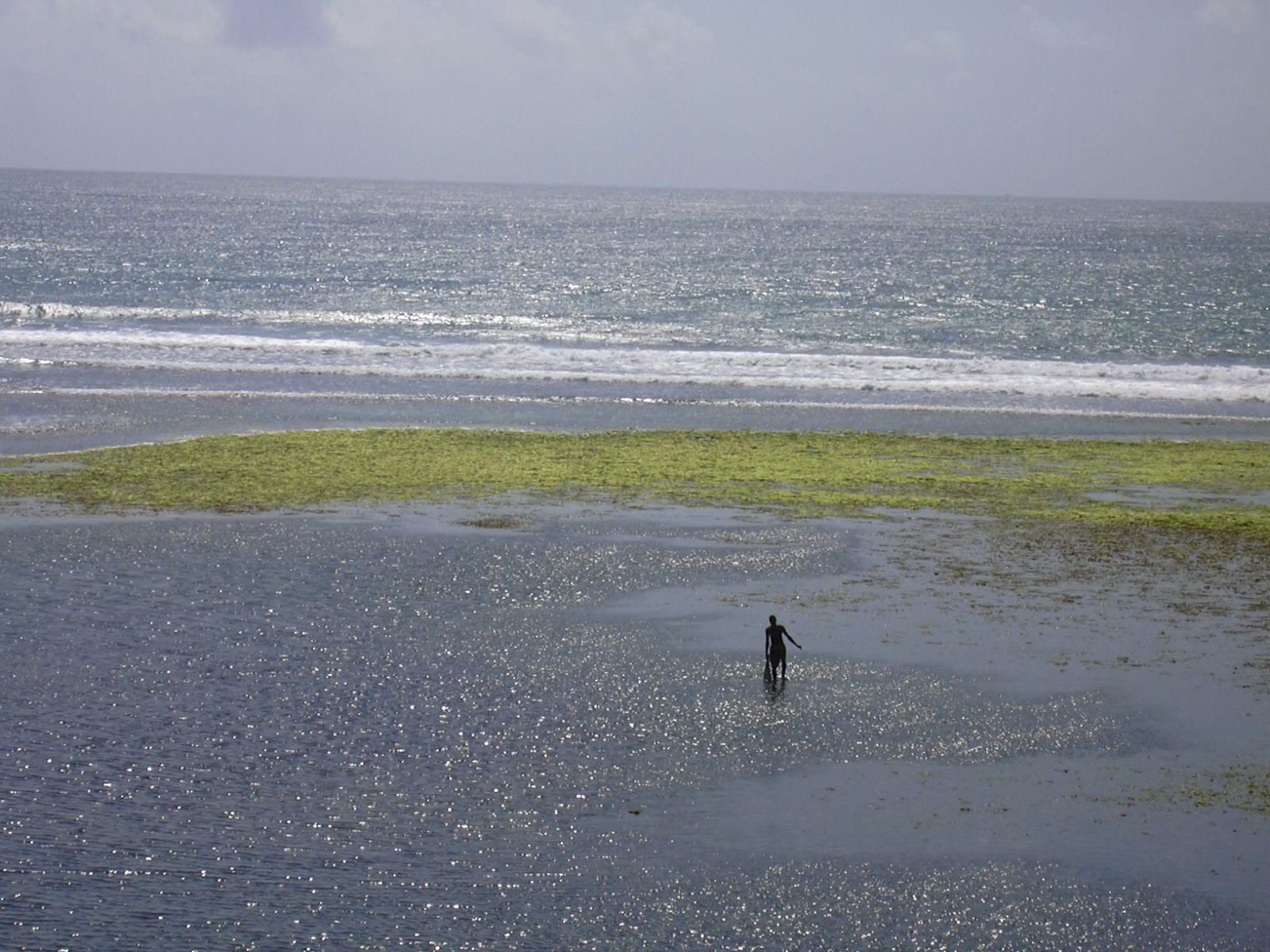 imagetanzania2-0171
